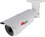 EVL-IG60-H10B ESVI Цилиндрическая мультиформатная видеокамера
