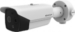 DS-2TD2617-3/PA HikVision Двухспектральная сетевая видеокамера