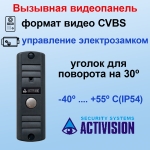 AVP-506 (PAL) темно-серый Activision Цветная вызывная панель