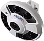TR-D9151IR2 1.4 TRASSIR Панорамная IP-видеокамера